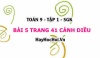 Bài 5 trang 41 Toán 9 tập 1 Cánh Diều